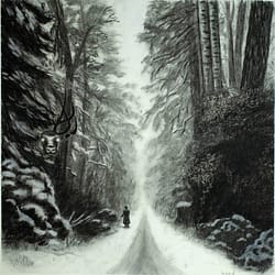 Forest Passage - Charcoal drawing on paper by José F. Esquivel | 2024 | Psychological landscape