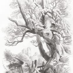 Master Copy of Small Harding Landscape - Graphite drawing on paper by José F. Esquivel | 2023 | English landscape drawing